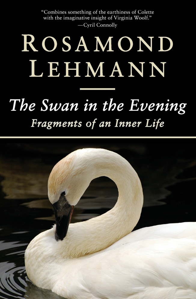 The Swan in the Evening