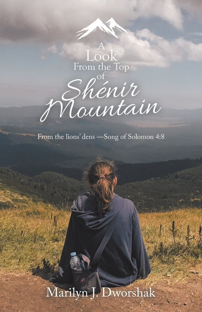 A Look from the Top  of Shénir Mountain