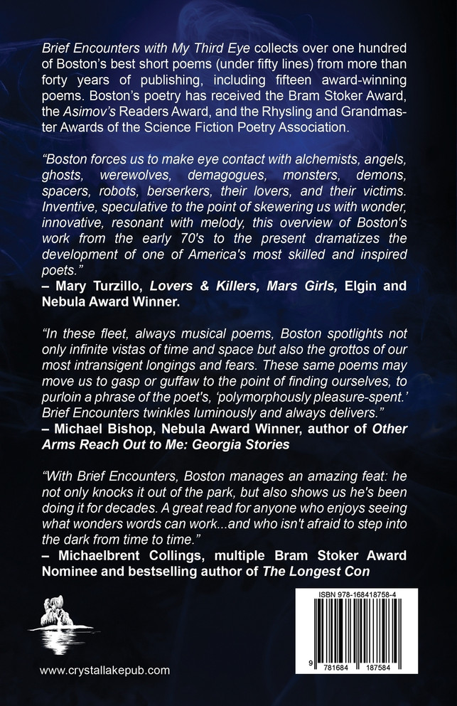 Brief Encounters with My Third Eye