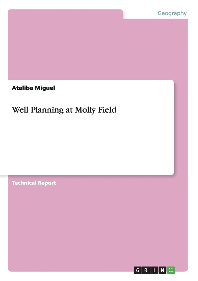 Well Planning at Molly Field