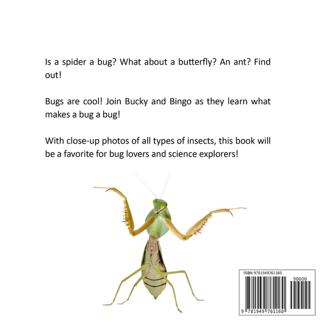 What Makes a Bug a Bug?