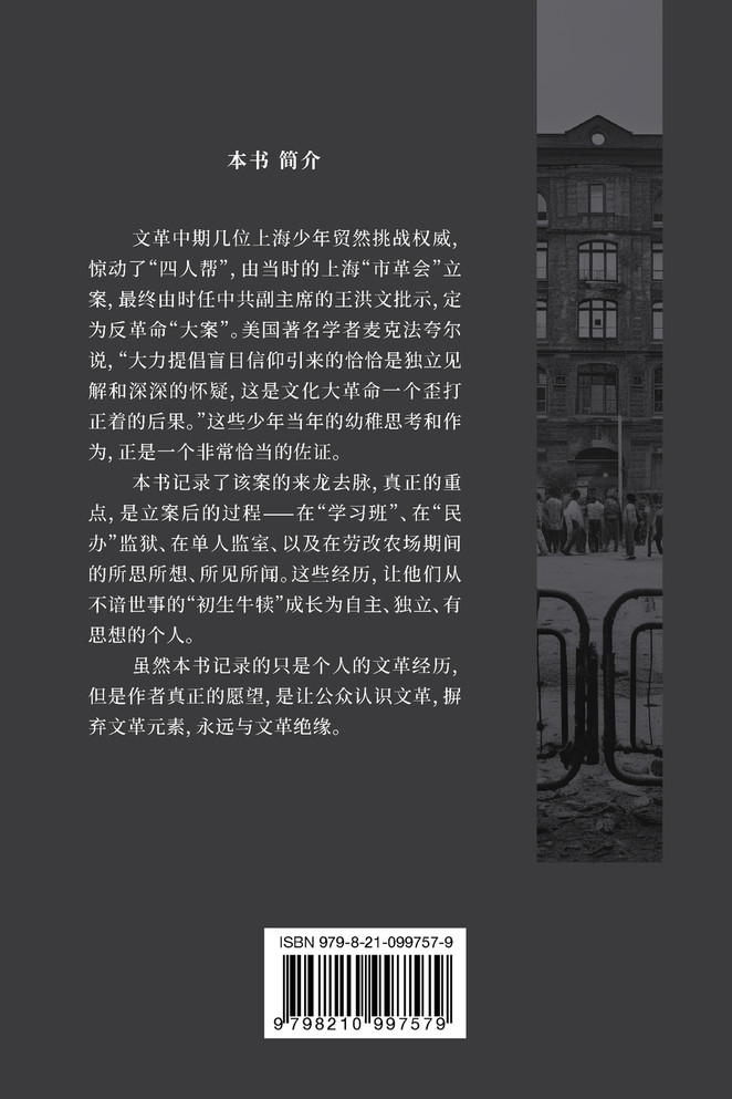 鸿鹄少年蒙难记