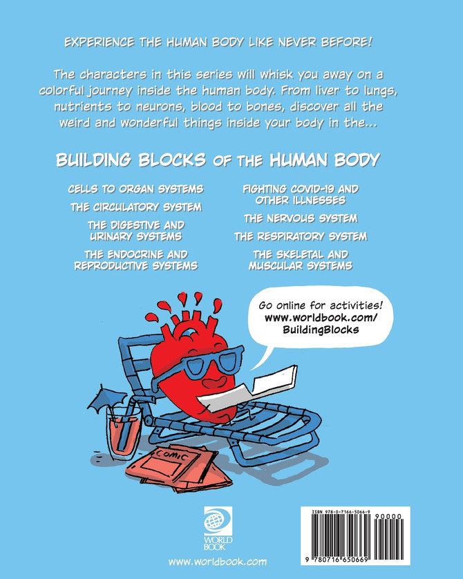 The Circulatory System