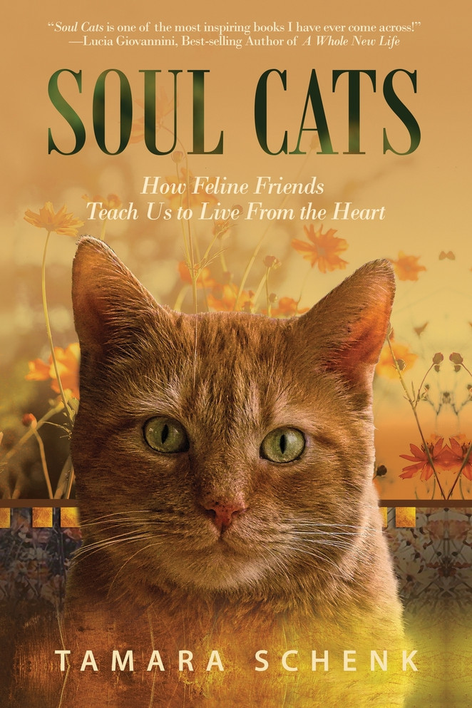 Soul Cats