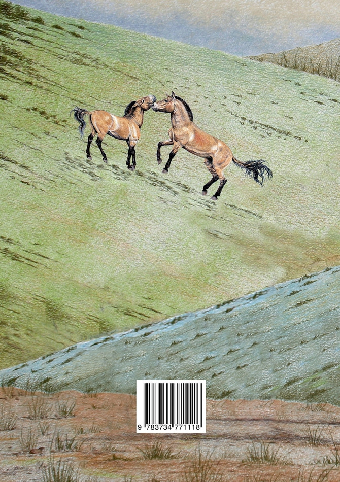 Harzer Pferdezucht im Spiegel der Geschichte