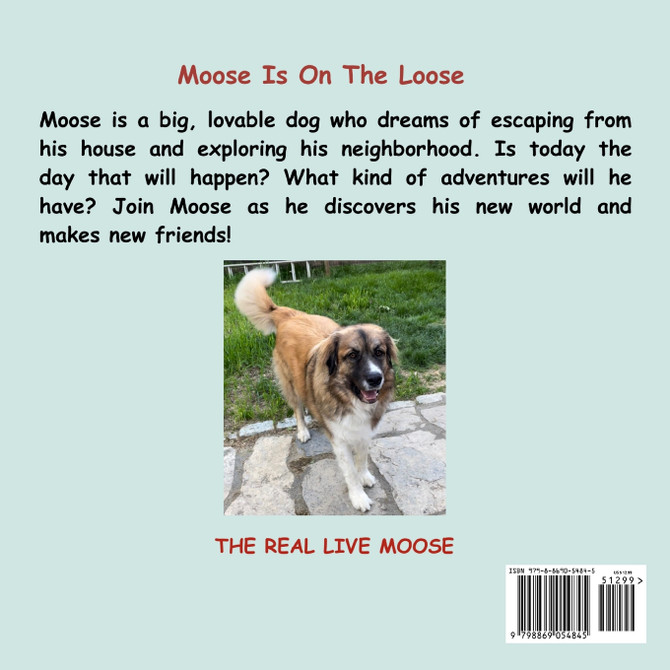 Moose Is On The Loose