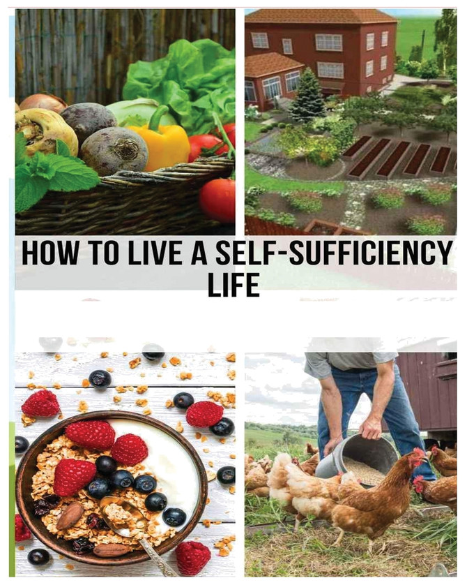 Mastering the Self-Sufficient Life