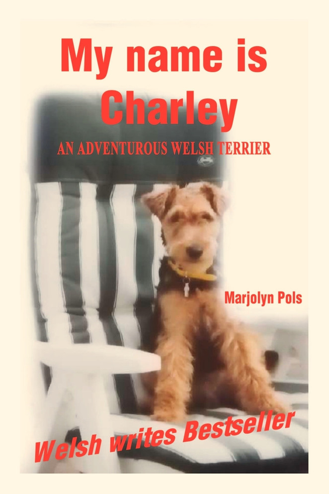 My Name Is Charley