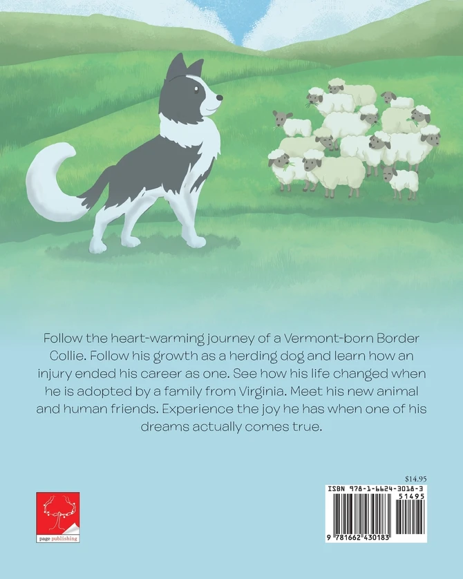 Ben the Border Collie
