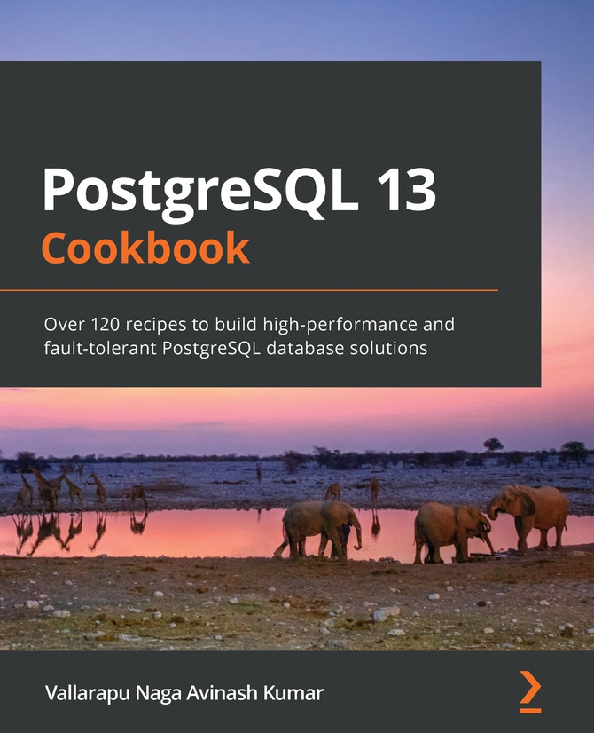 PostgreSQL 13 Cookbook