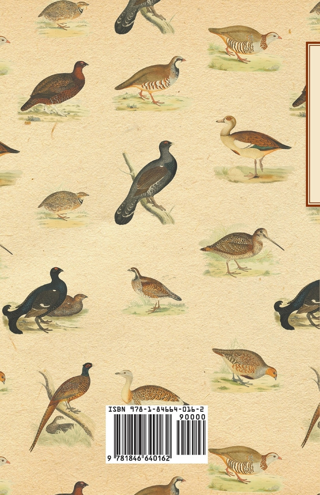 Nights With an Old Gunner and Other Studies of Wild Life