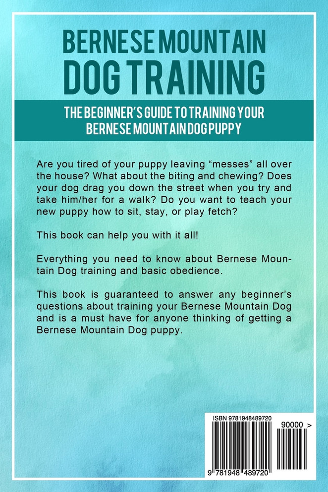 Bernese Mountain Dog Training