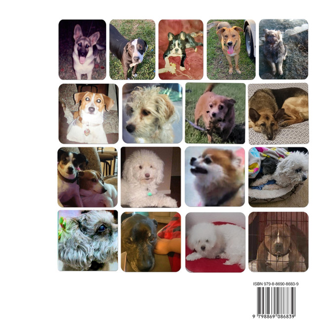 A Tribute to Man's Best Friend