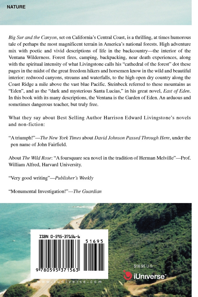 Big Sur and the Canyon