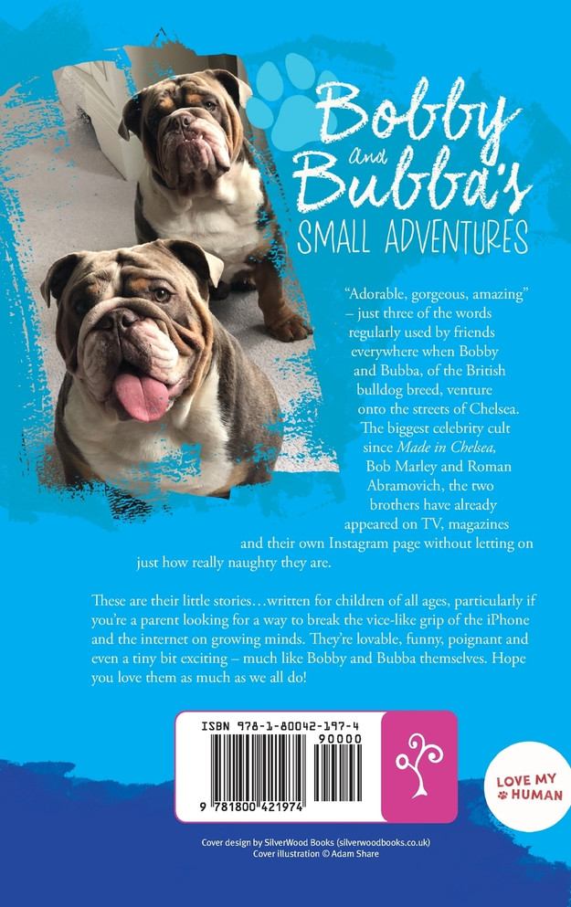 Bobby and Bubba's Small Adventures