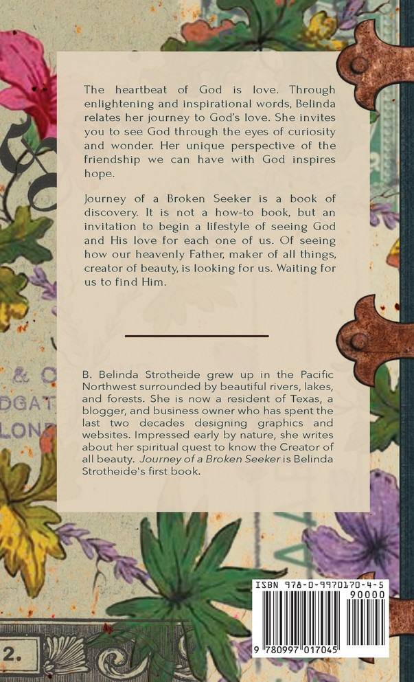 Journey of a Broken Seeker