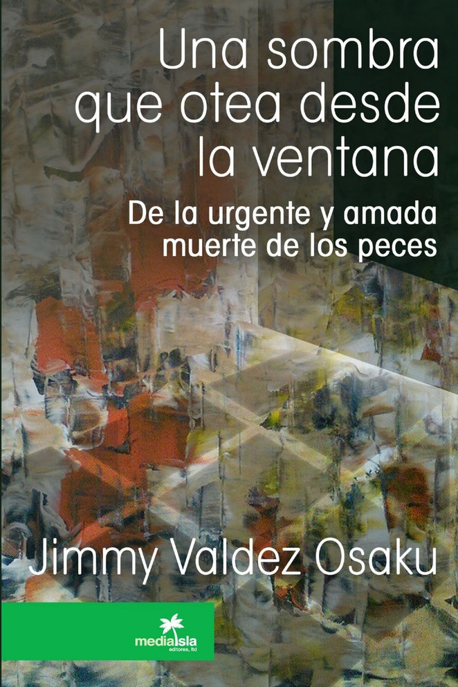 Una sombra que otea desde la ventana