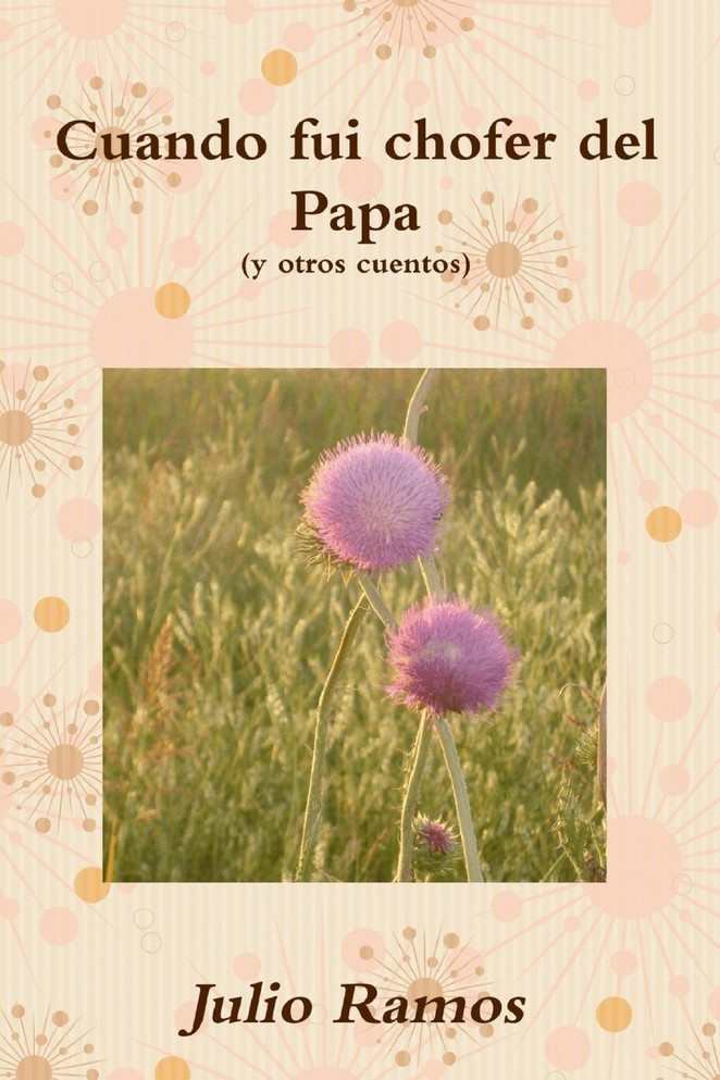 Cuando fui chofer del Papa y otros cuentos