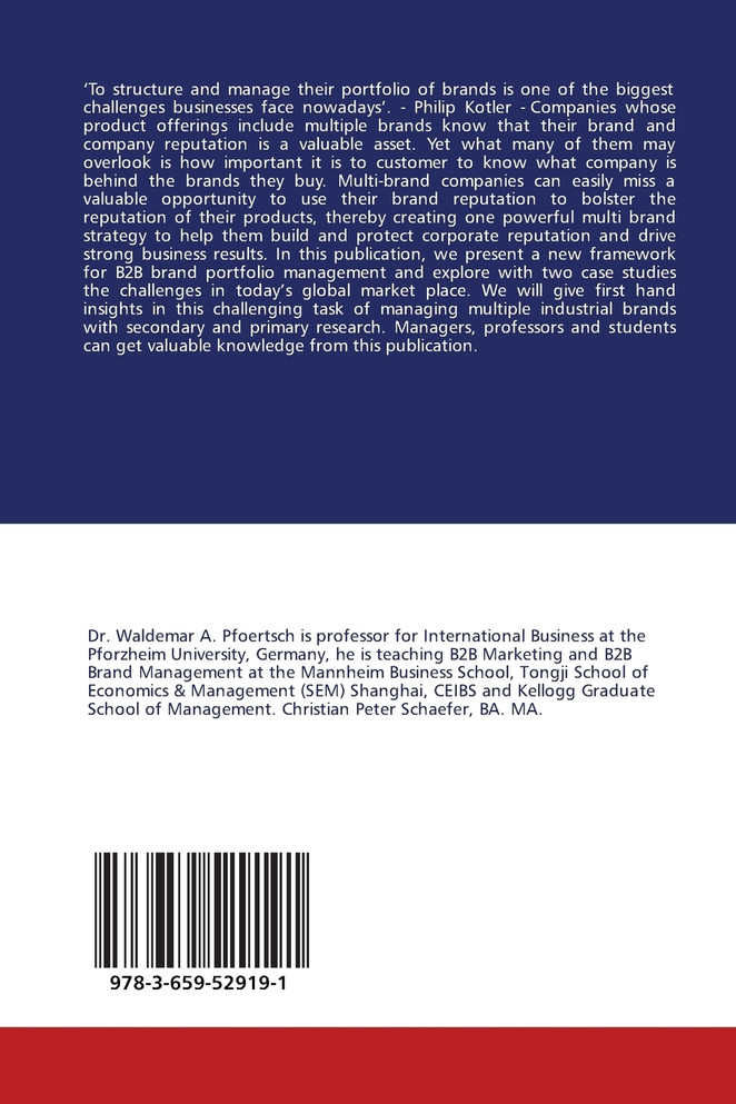 B2B Brand Portfolio Strategy