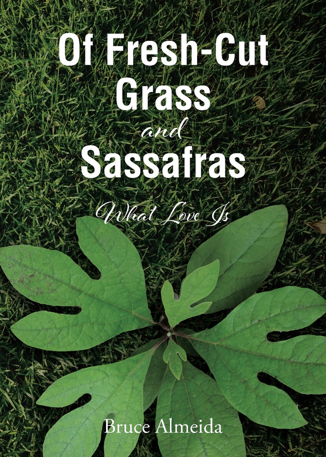 Of Fresh-Cut Grass and Sassafras