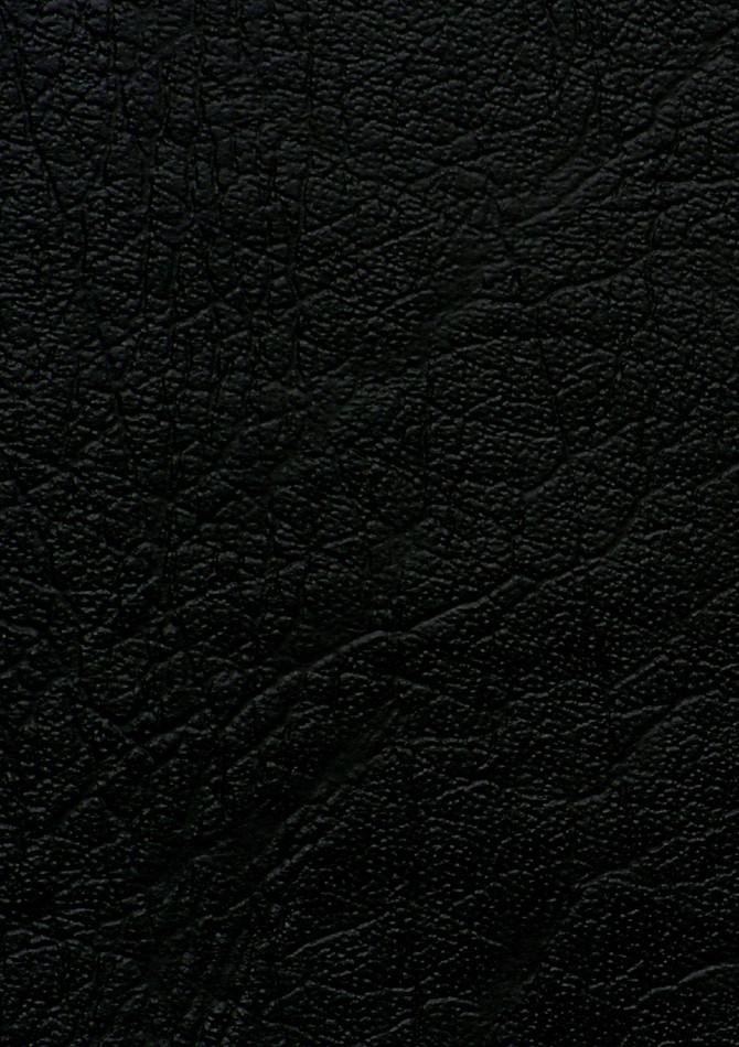 DaMAN More Journal