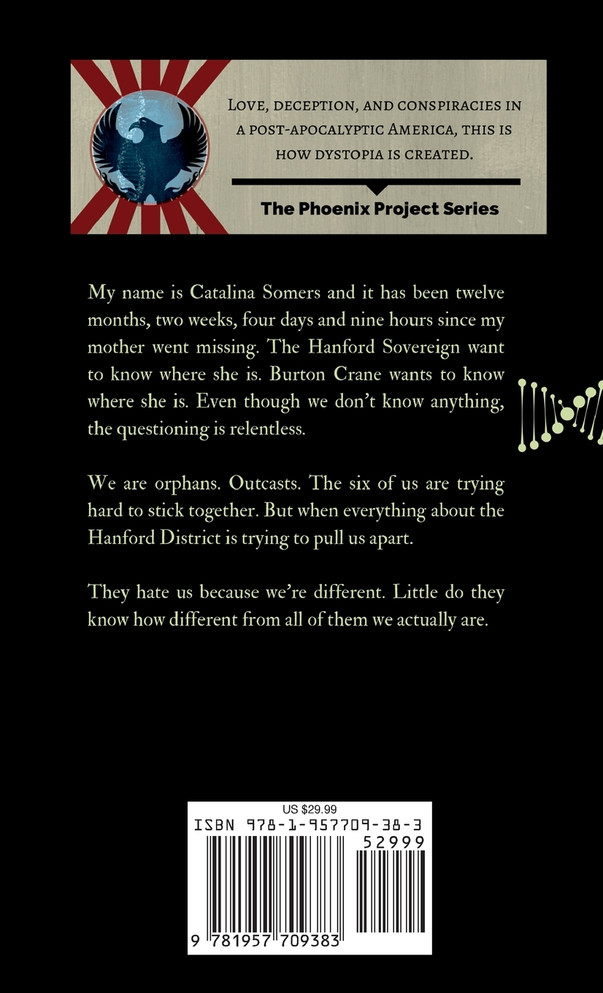 Origins (The Phoenix Project Book Five)