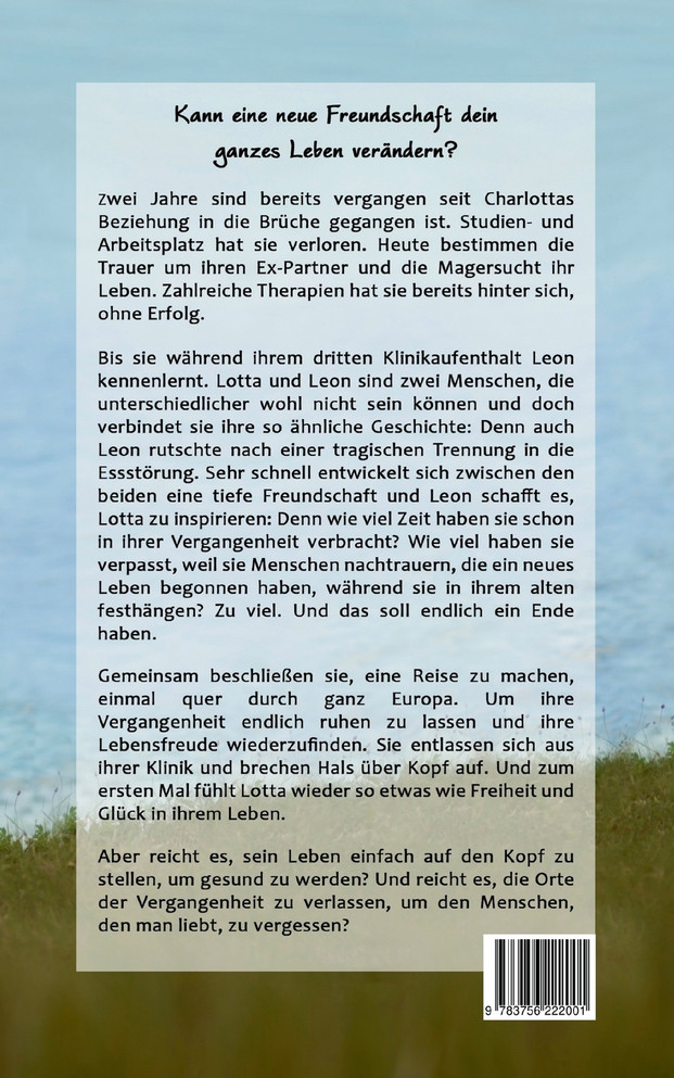 Bis zu meinem Spiegelbild