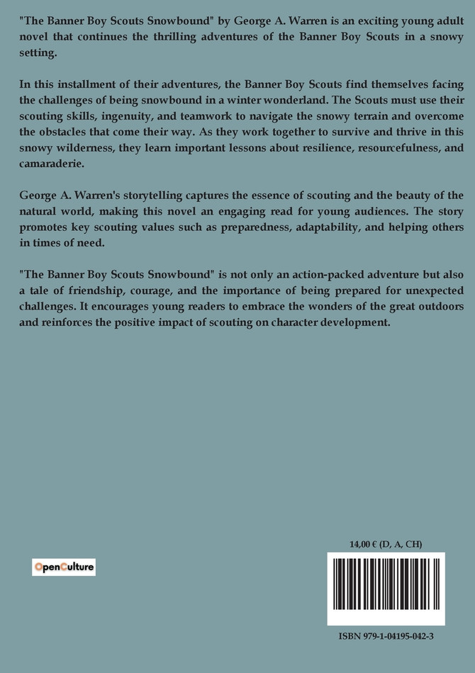 The Banner Boy Scouts Snowbound