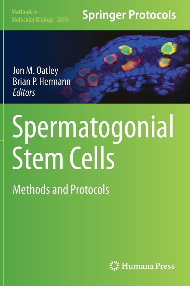 Spermatogonial Stem Cells