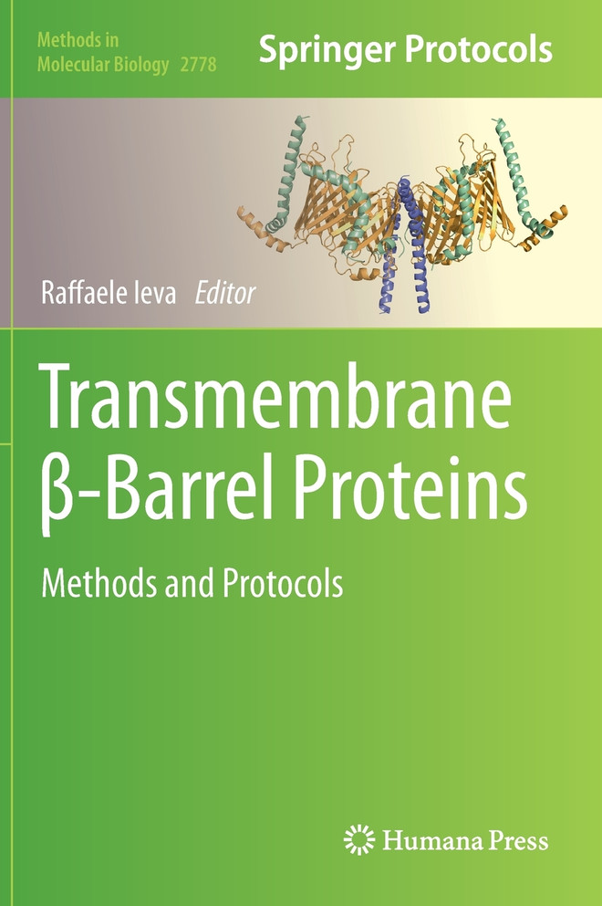 Transmembrane β-Barrel Proteins