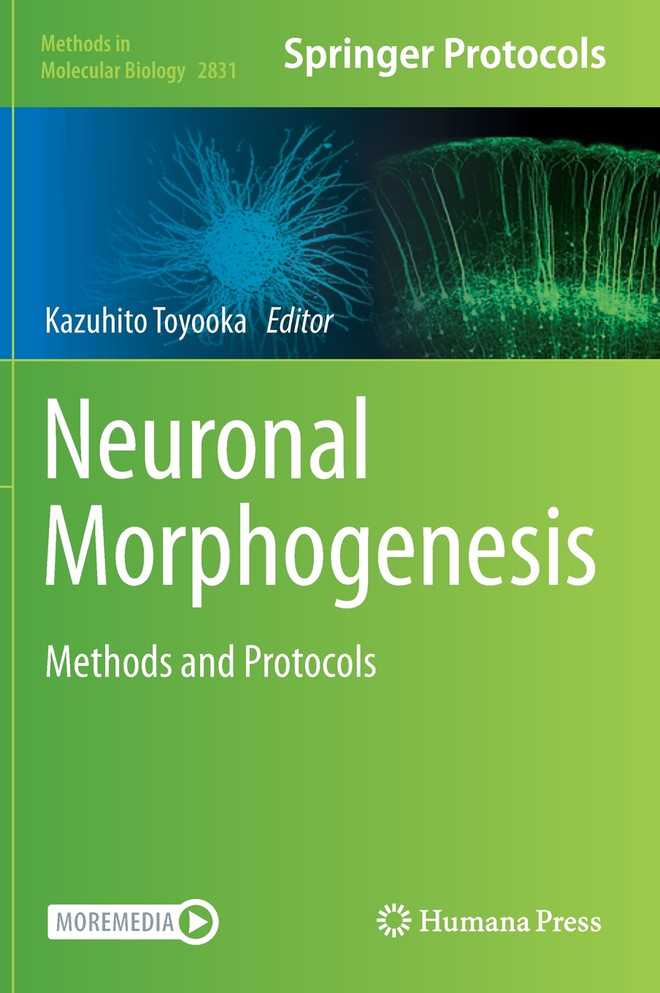 Neuronal Morphogenesis