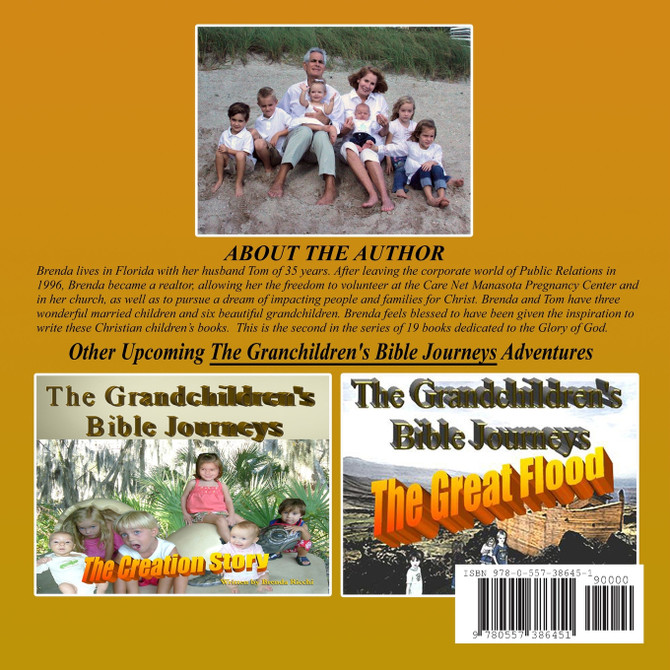 The Grandchildren's Bible Journey-The Big Fall