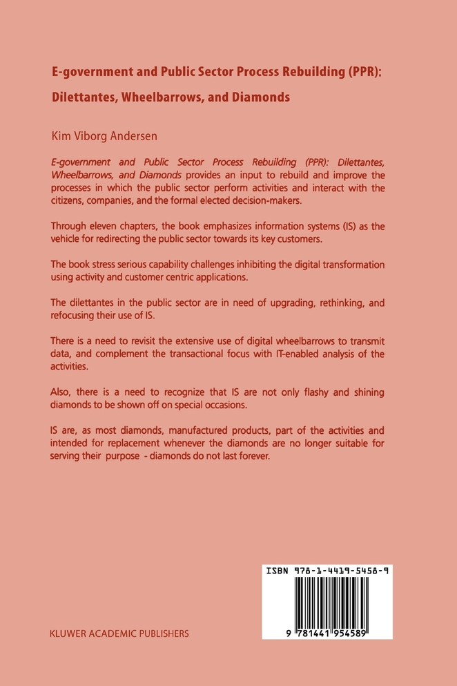 E-government and Public Sector Process Rebuilding