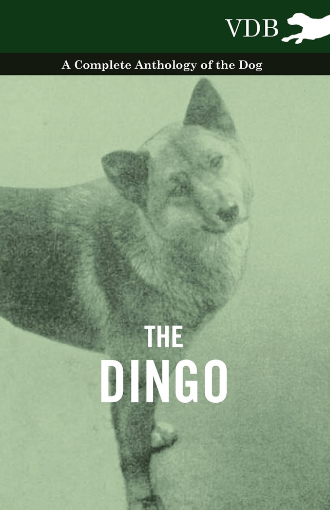 The Dingo - A Complete Anthology of the Dog -