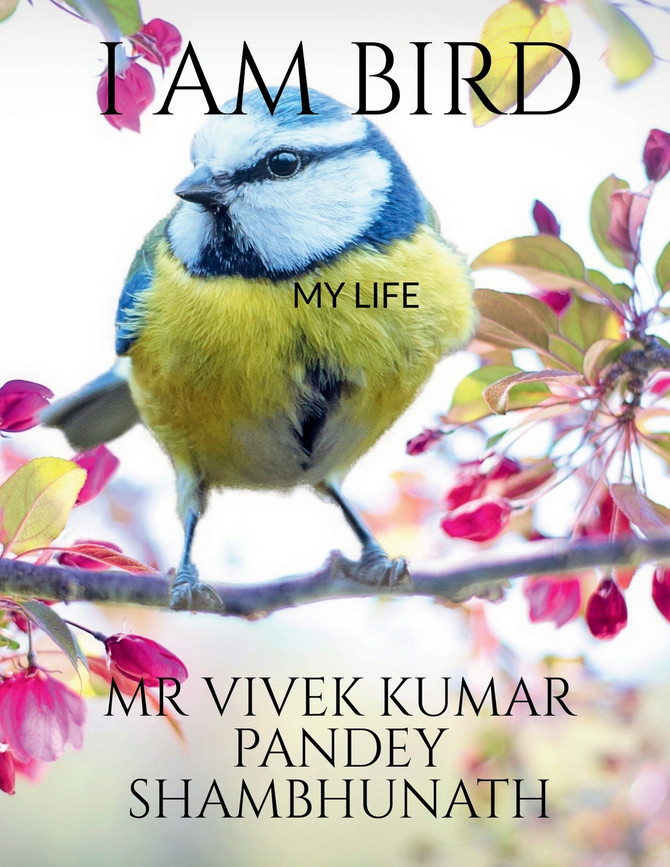 I AM BIRD