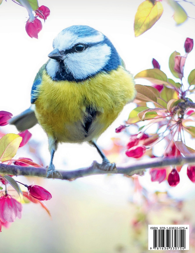 I AM BIRD