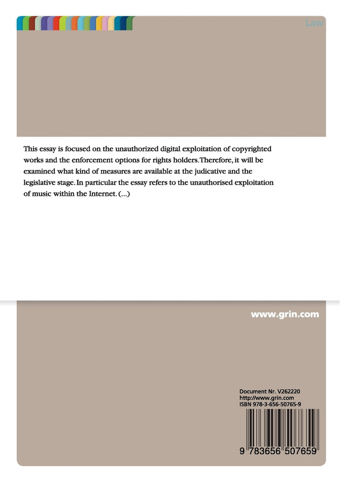 Piracy in the Media Industry