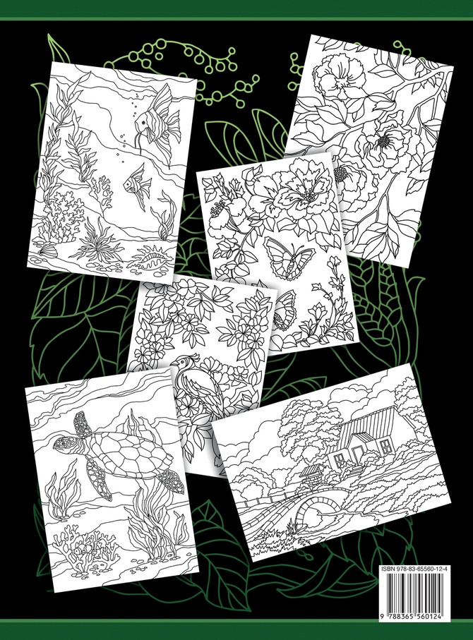Coloring Books For Adults Volume 6