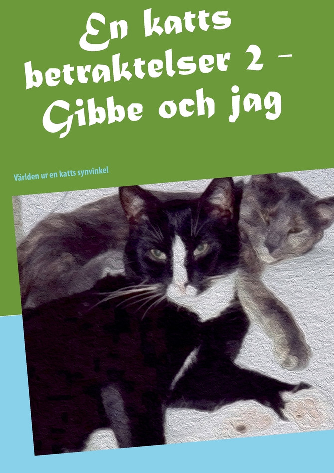 En katts betraktelser 2