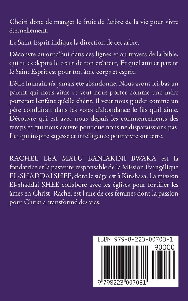 L'énigme Révélée LE SAINT ESPRIT COMME ON N'A JAMAIS PARLE