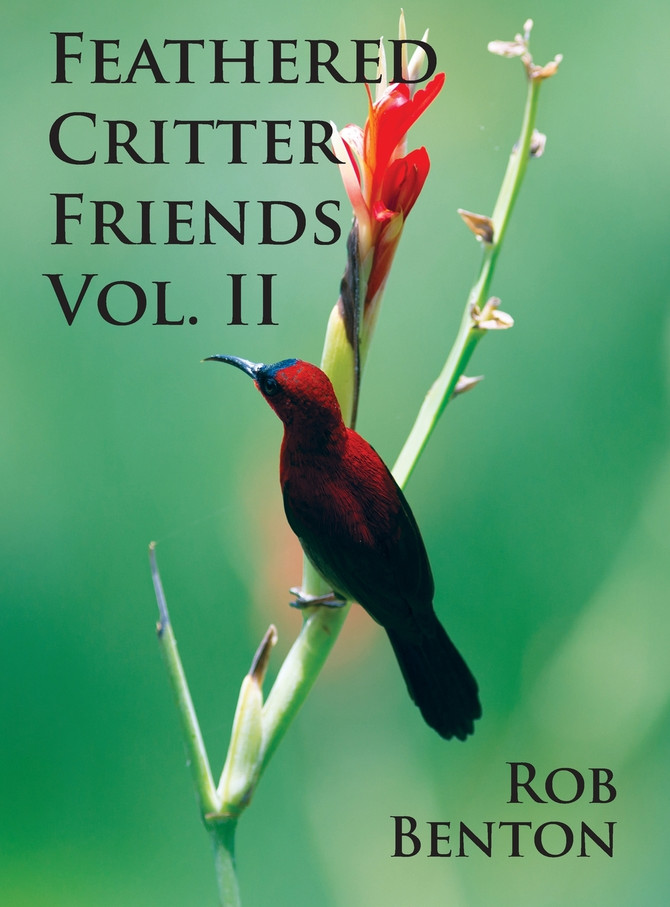 Feathered Critter Friends Vol. II
