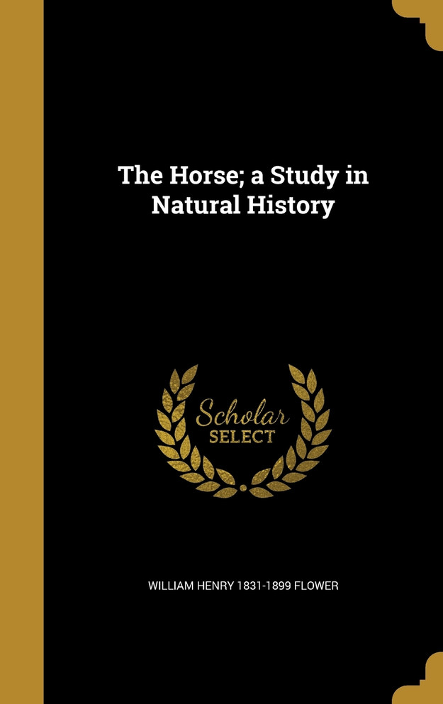 The Horse; a Study in Natural History