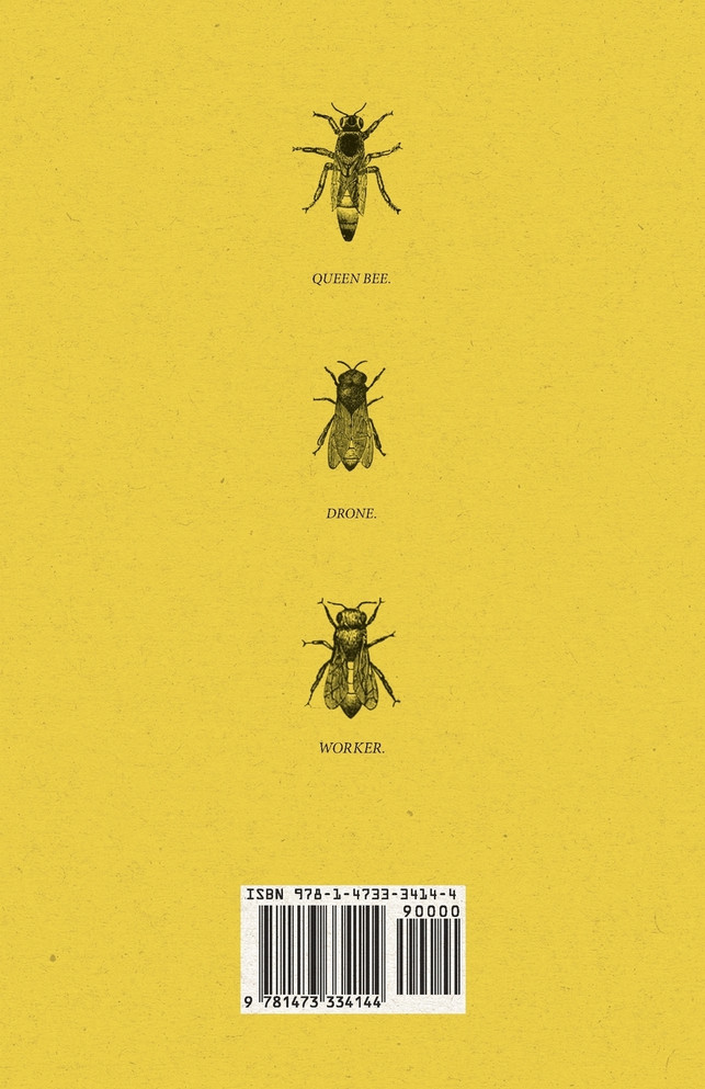 Bee-Keeping by 'The Times' Bee-Keeper