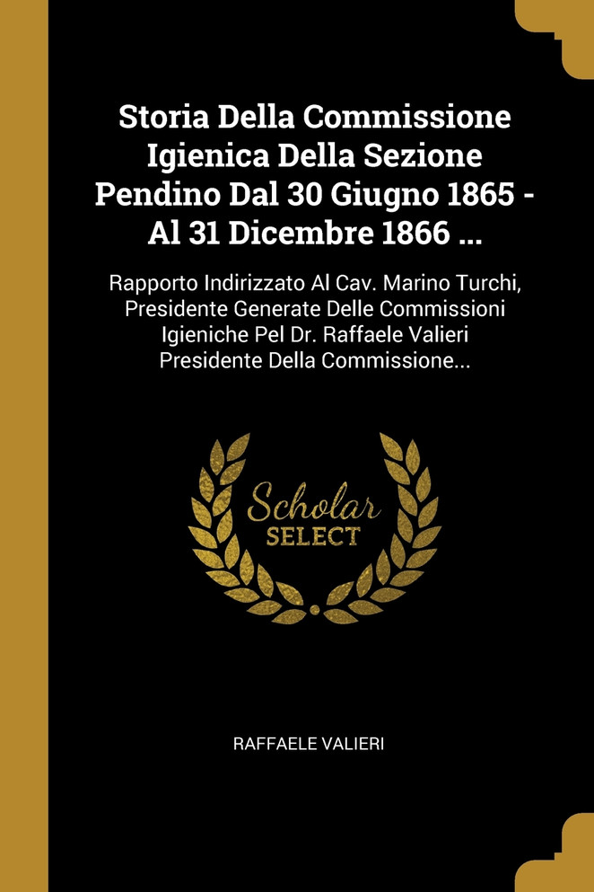 Storia Della Commissione Igienica Della Sezione Pendino Dal 30 Giugno 1865 - Al 31 Dicembre 1866 ...