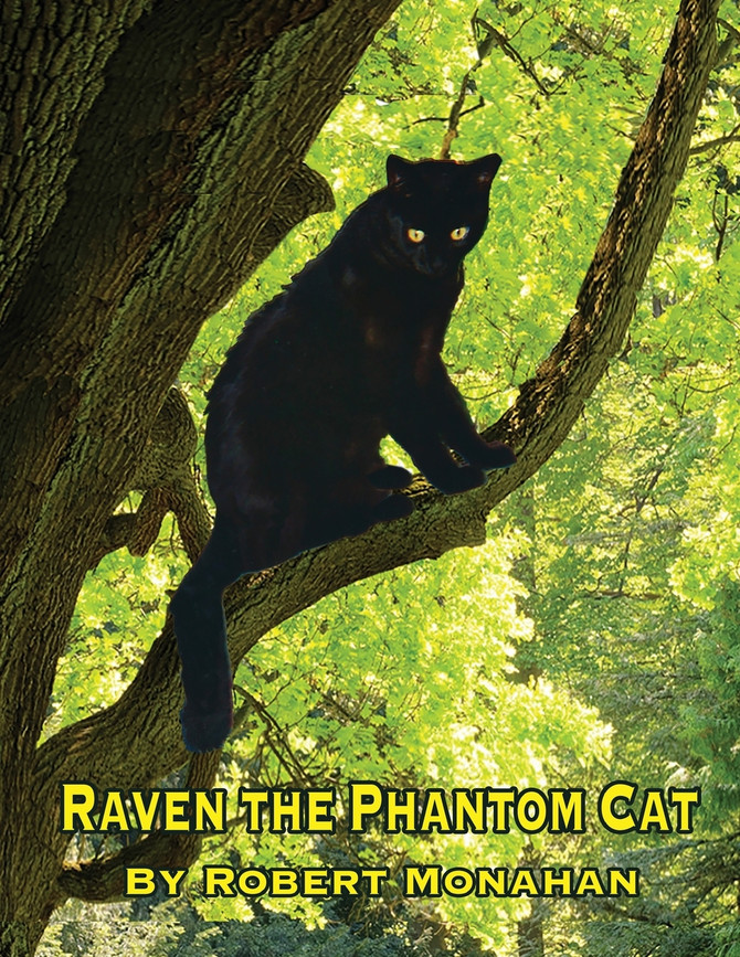 Raven The Phantom Cat