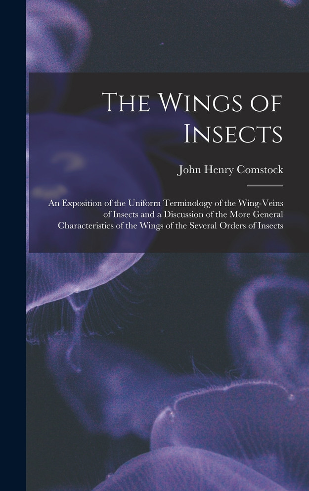 The Wings of Insects