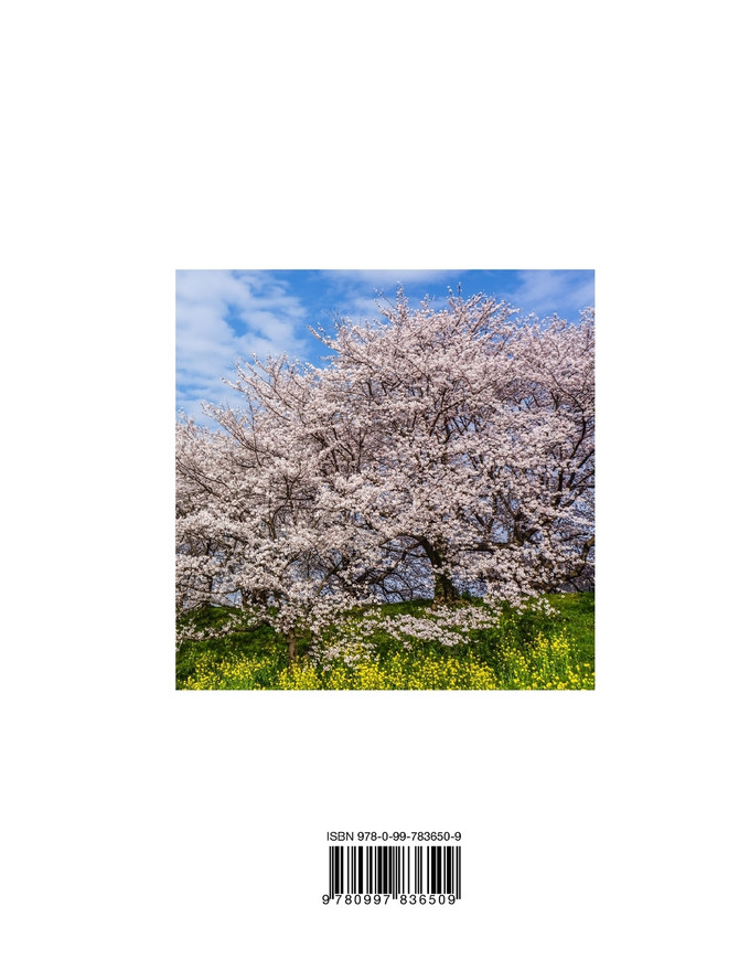The Japan Book