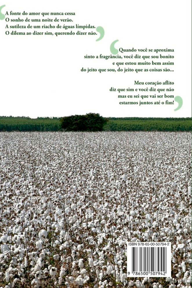 Campos De Algodão