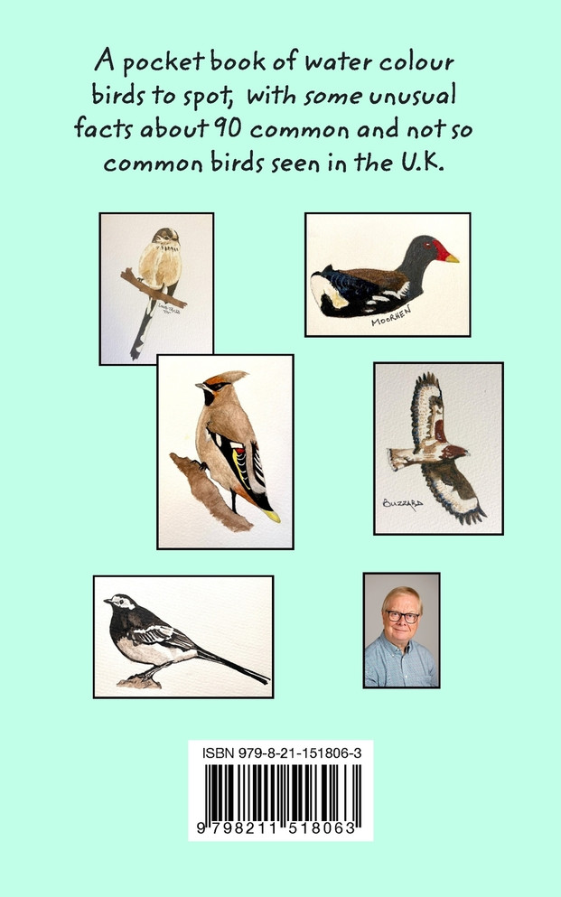 Water Colour Birding