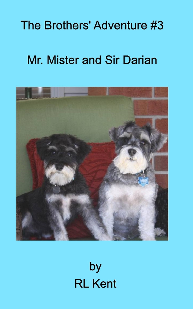 The Brothers' Adventure #3